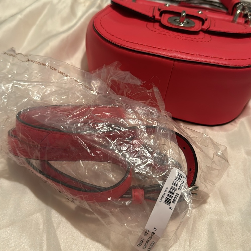 Coach Willis - image 5